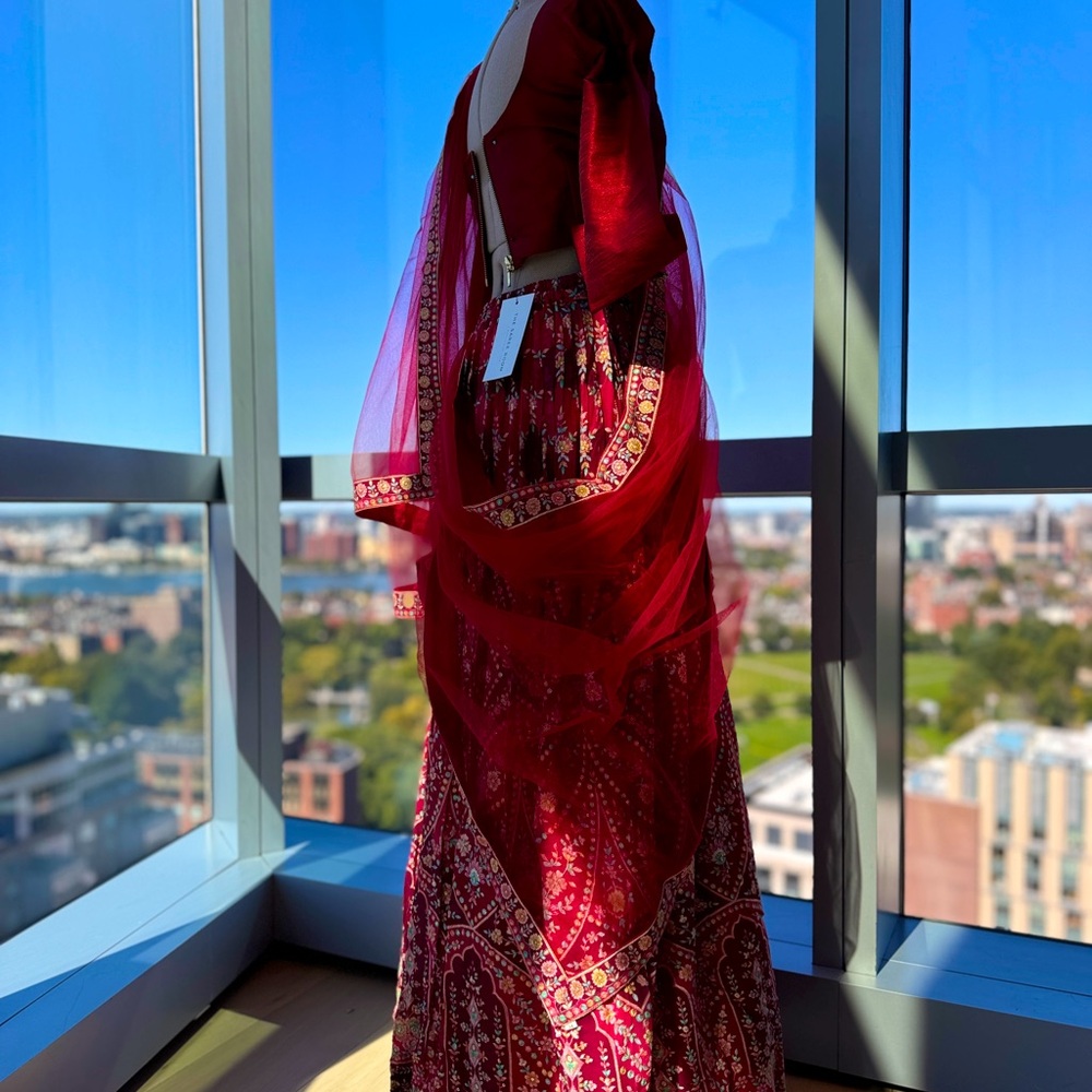 Beautiful Lehenga Set- Perfect for Wedding Events! - Picture 6 of 12